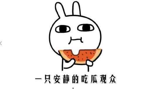 抖音上的吃瓜网红有哪些,揭秘热门话题背后的神秘面纱